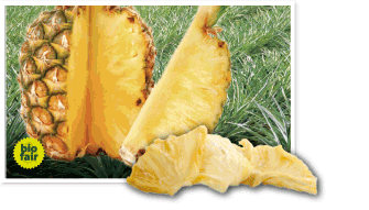 Trockenfrüchte Ananas - Bio und Fair gehandelt